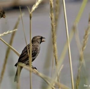 Meet your Posher, Raul